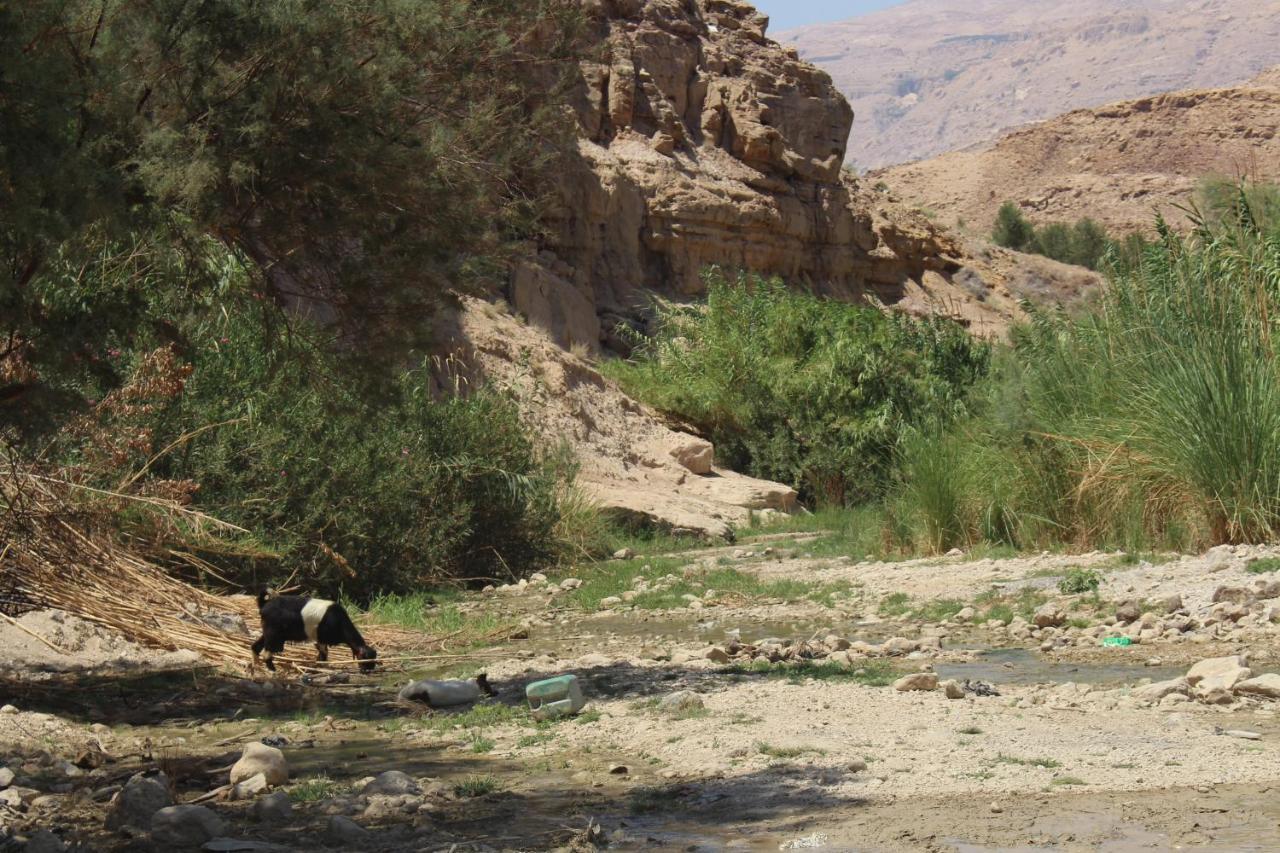فندق Wadi Al-Hassa Camp Khawkhah المظهر الخارجي الصورة