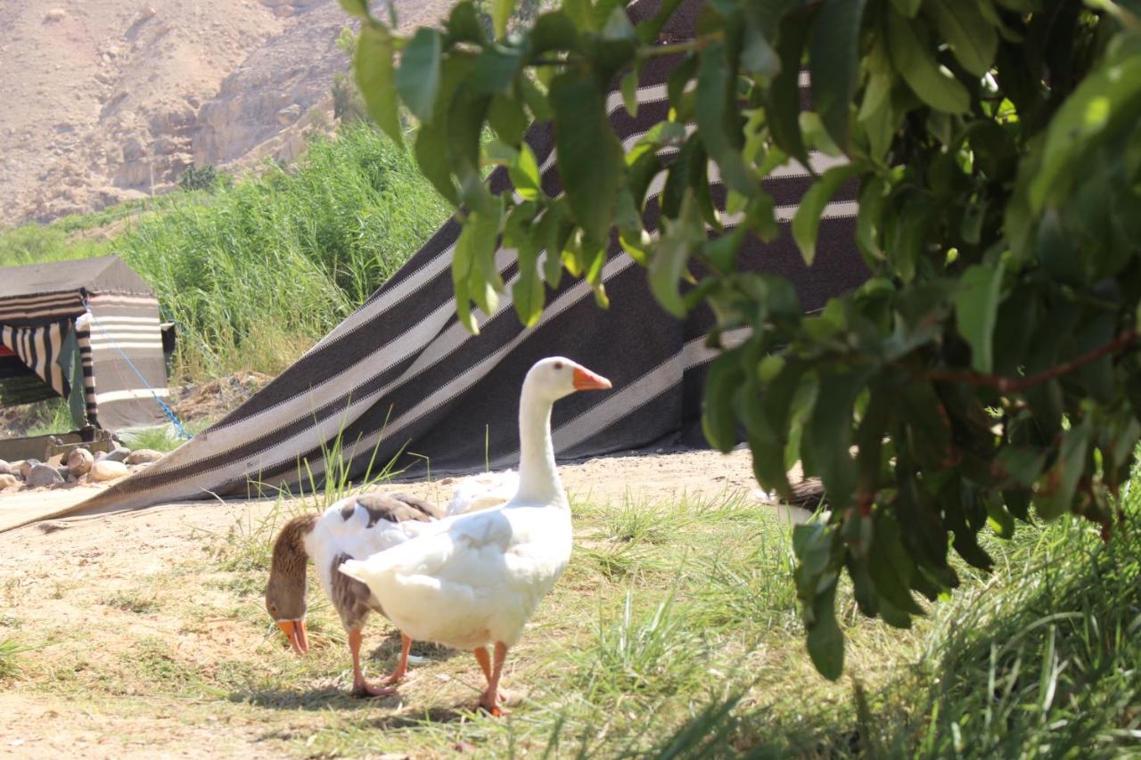 فندق Wadi Al-Hassa Camp Khawkhah المظهر الخارجي الصورة