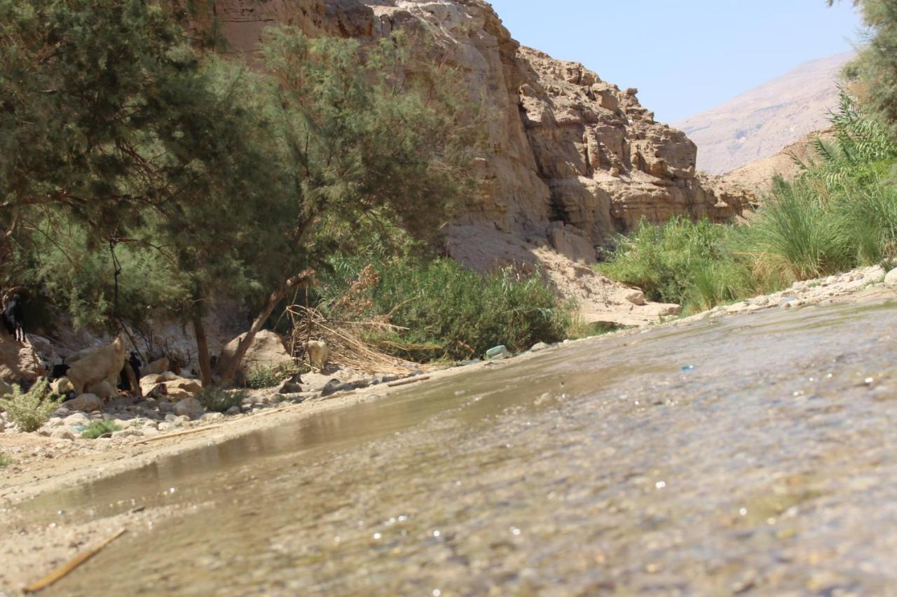 فندق Wadi Al-Hassa Camp Khawkhah المظهر الخارجي الصورة