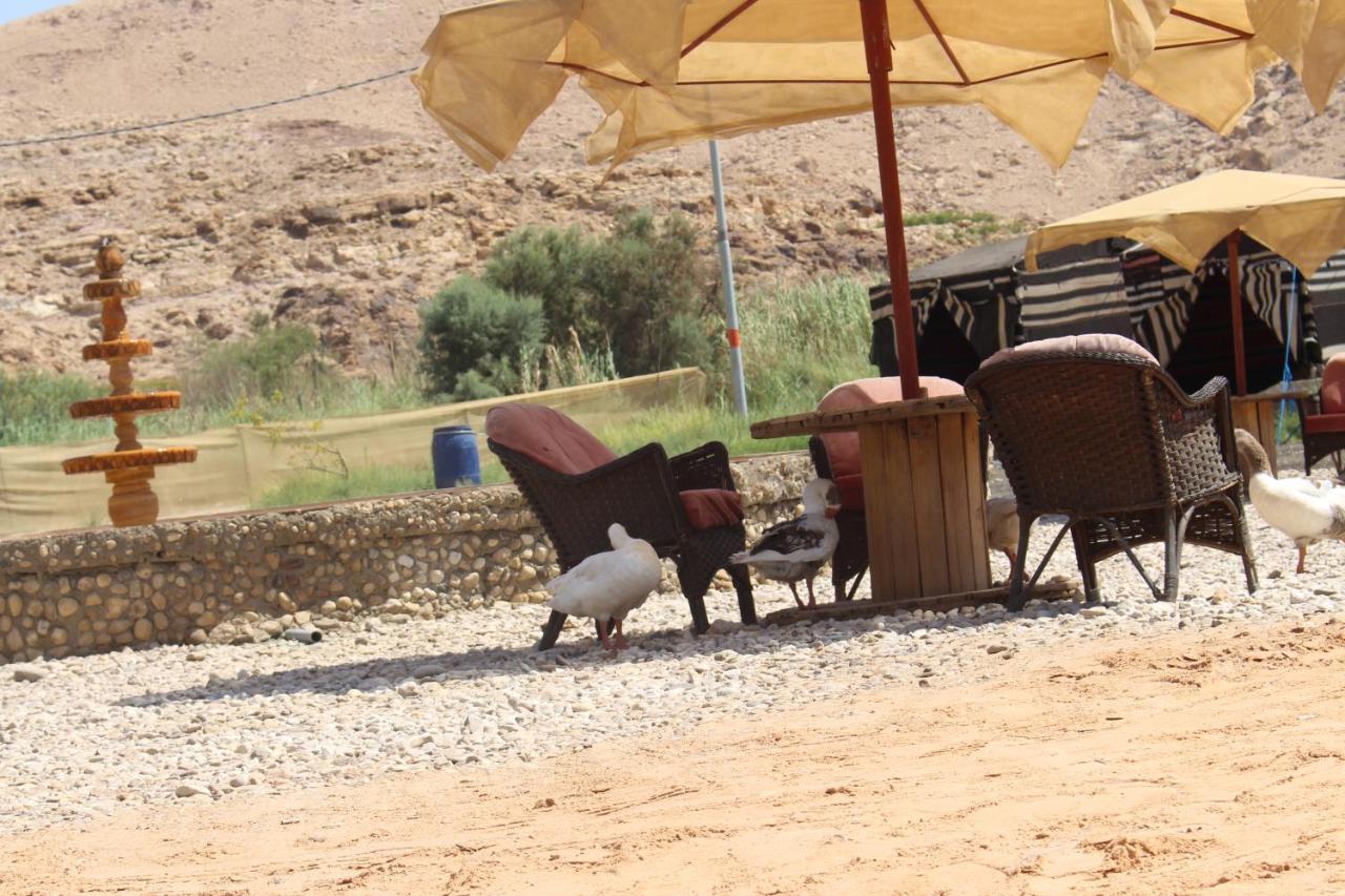 فندق Wadi Al-Hassa Camp Khawkhah المظهر الخارجي الصورة