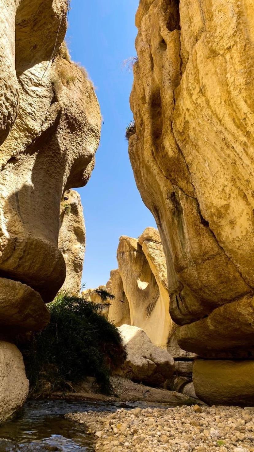 فندق Wadi Al-Hassa Camp Khawkhah المظهر الخارجي الصورة