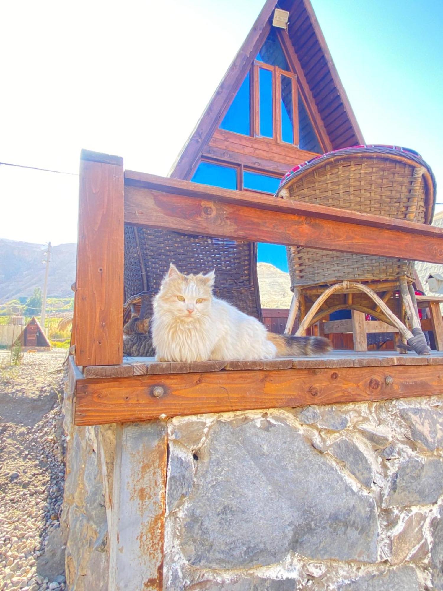 فندق Wadi Al-Hassa Camp Khawkhah المظهر الخارجي الصورة